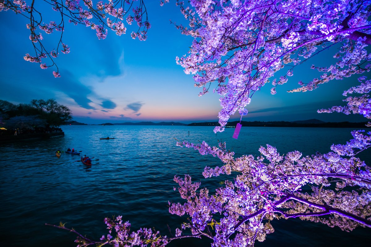 ยอดเยี่ยมมณฑลเจียงซู—Charm of Jiangsu tweet media