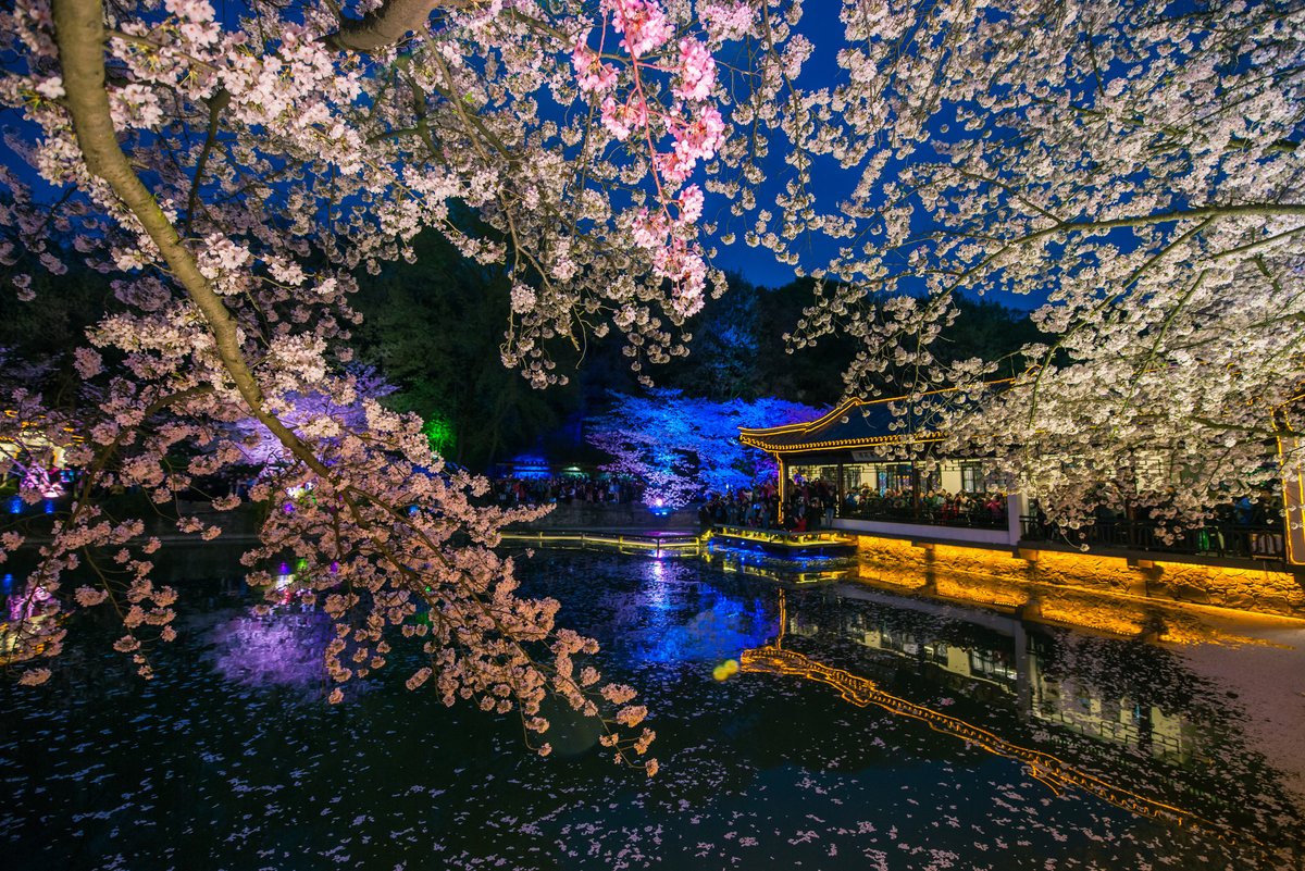 ยอดเยี่ยมมณฑลเจียงซู—Charm of Jiangsu tweet media