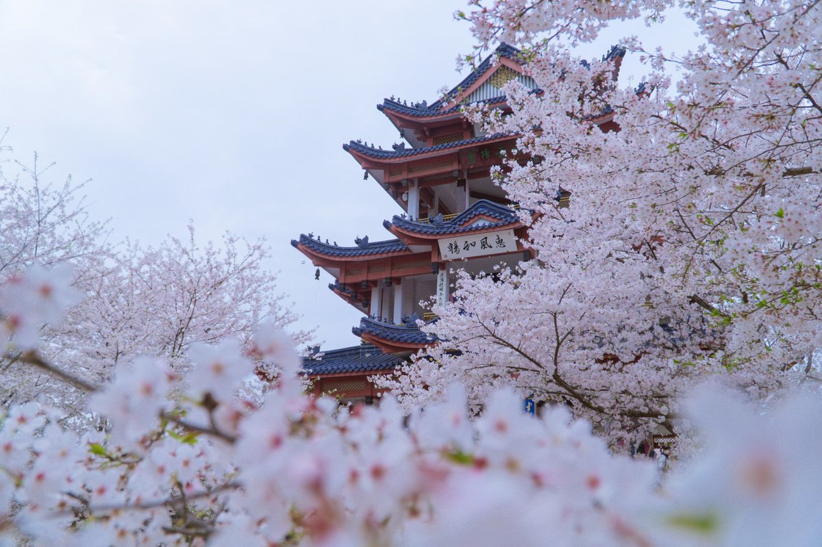 ยอดเยี่ยมมณฑลเจียงซู—Charm of Jiangsu tweet media