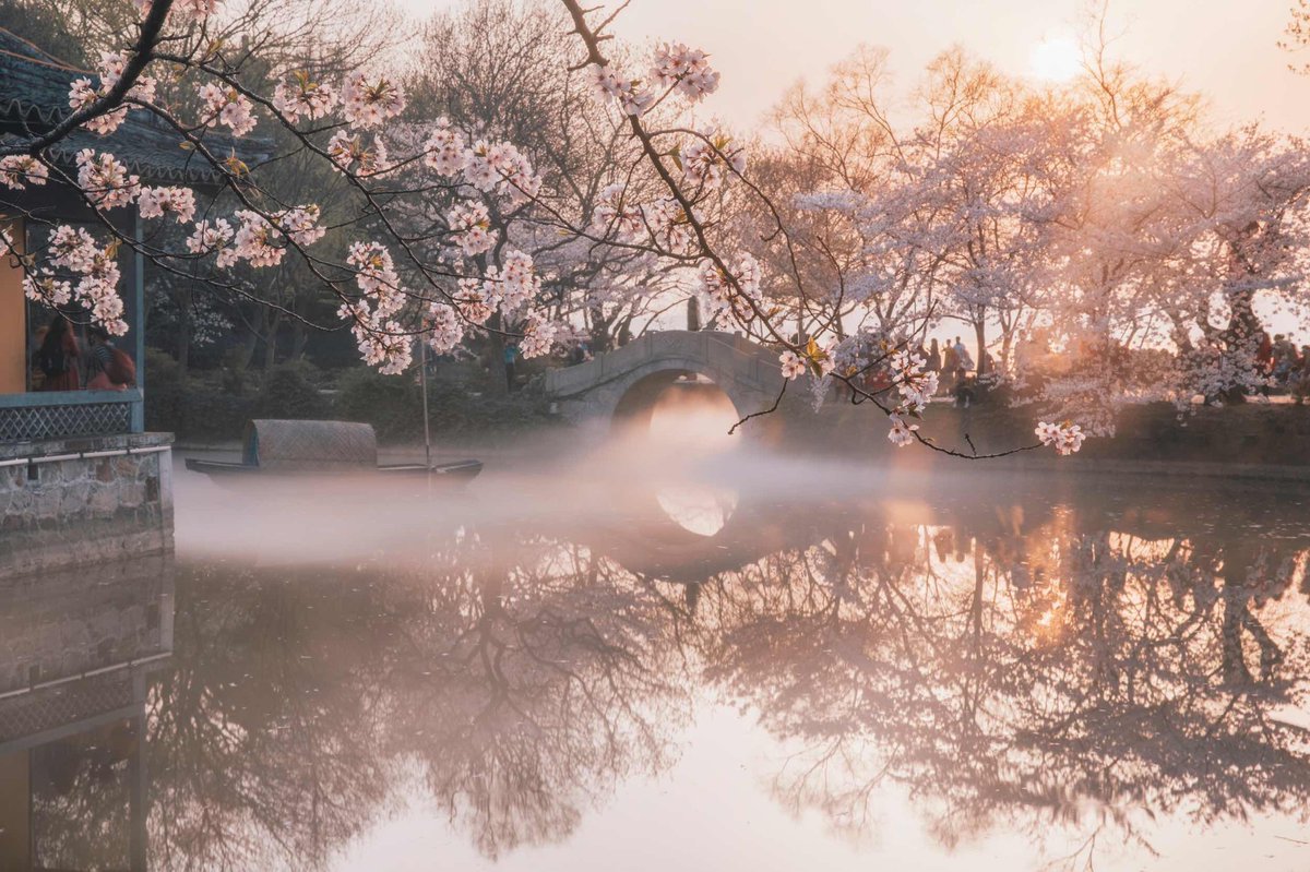 ยอดเยี่ยมมณฑลเจียงซู—Charm of Jiangsu tweet media