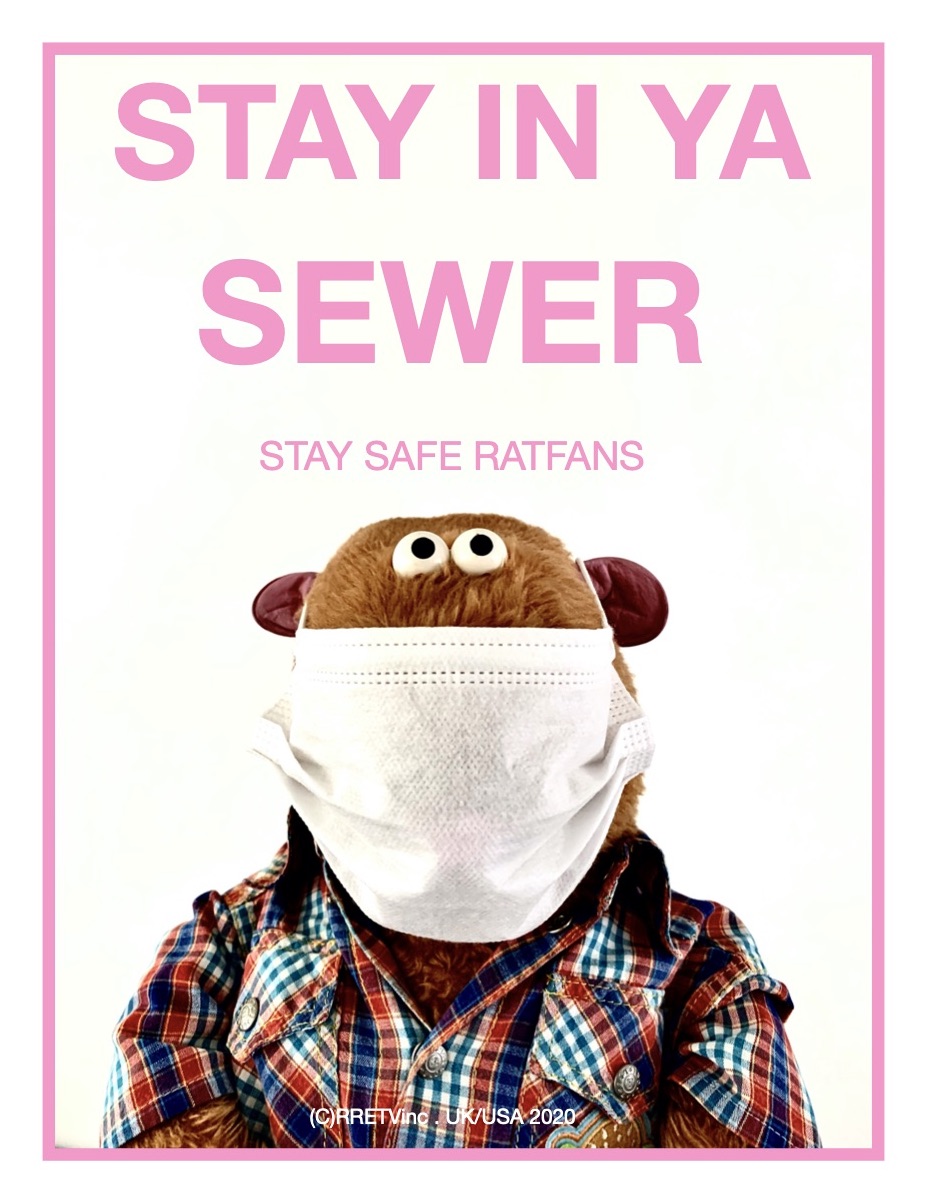 Kevin the Gerbil (@kevinthegerbil) on Twitter photo 