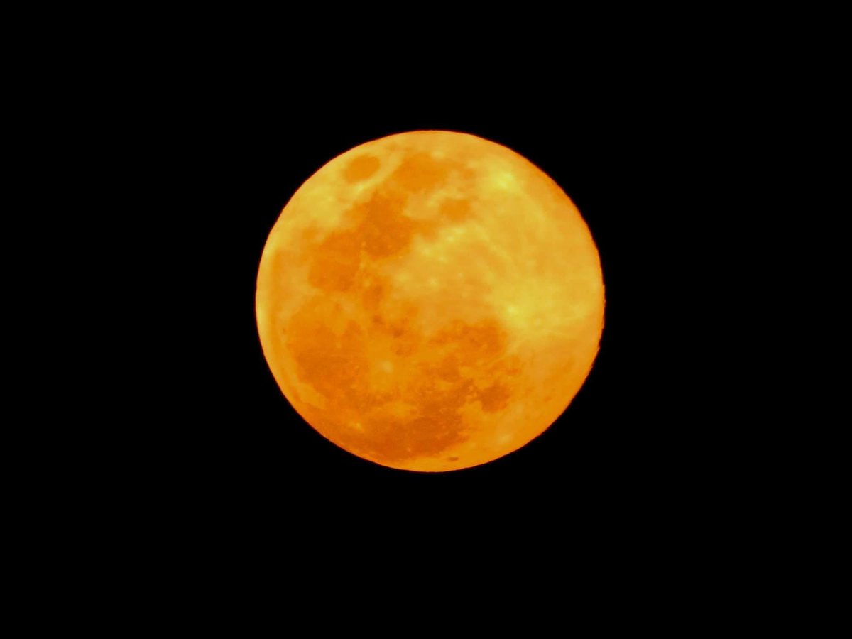 mxmqroo's tweet photo. #QuintanaRoo ¿Ya viste la luna? 🌕👀 ¡Está increíble! #QuedateEnCasa https://t.co/yahs0nS1Hs