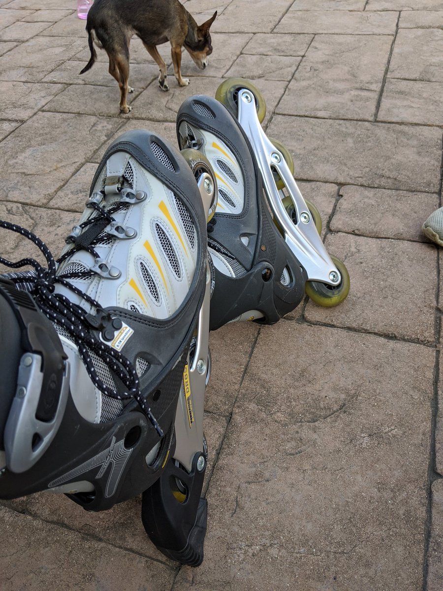 Great day to bust these bad boys out!