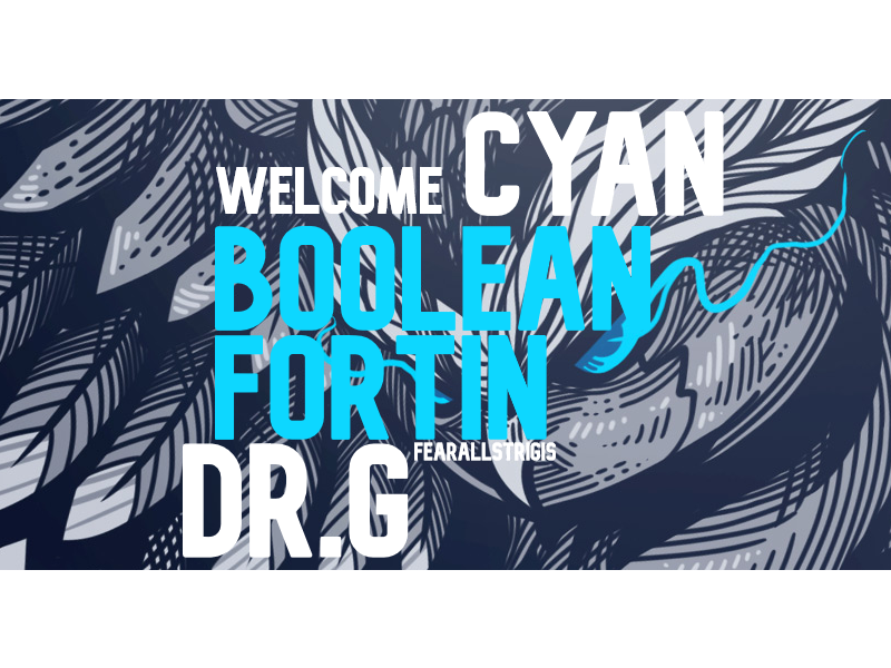 SFRggs's tweet photo. What is a Fortnite? 
Expanding to unknown territories
Please welcome Strigiformes official Smash Roster.
#Fearallstrigis

@thefunnybool  @Fortin_SmashUL  @CyAn4010  @UltimateBowser https://t.co/5x4Qvil2r0