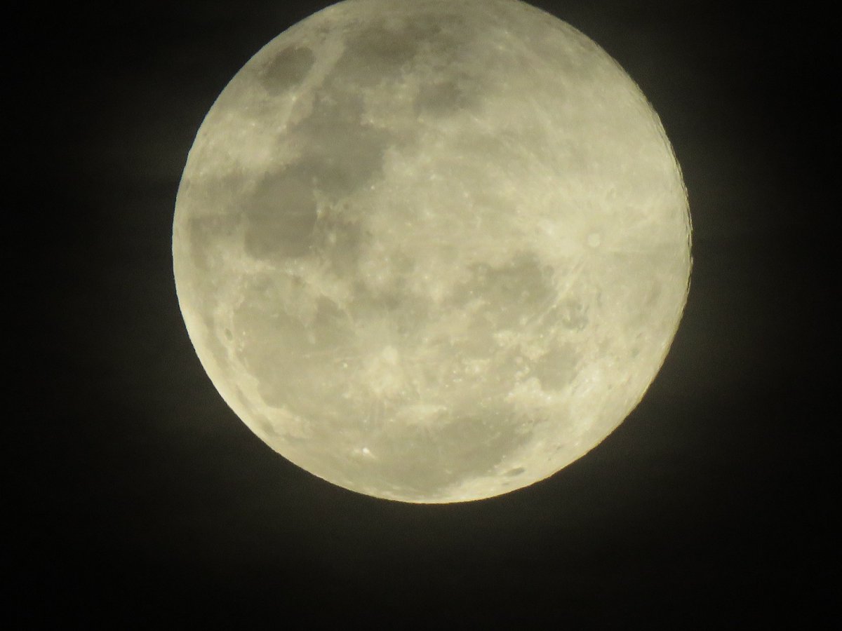 takzuo's tweet photo. Luna de Medellin https://t.co/GQYZJRgs2Y