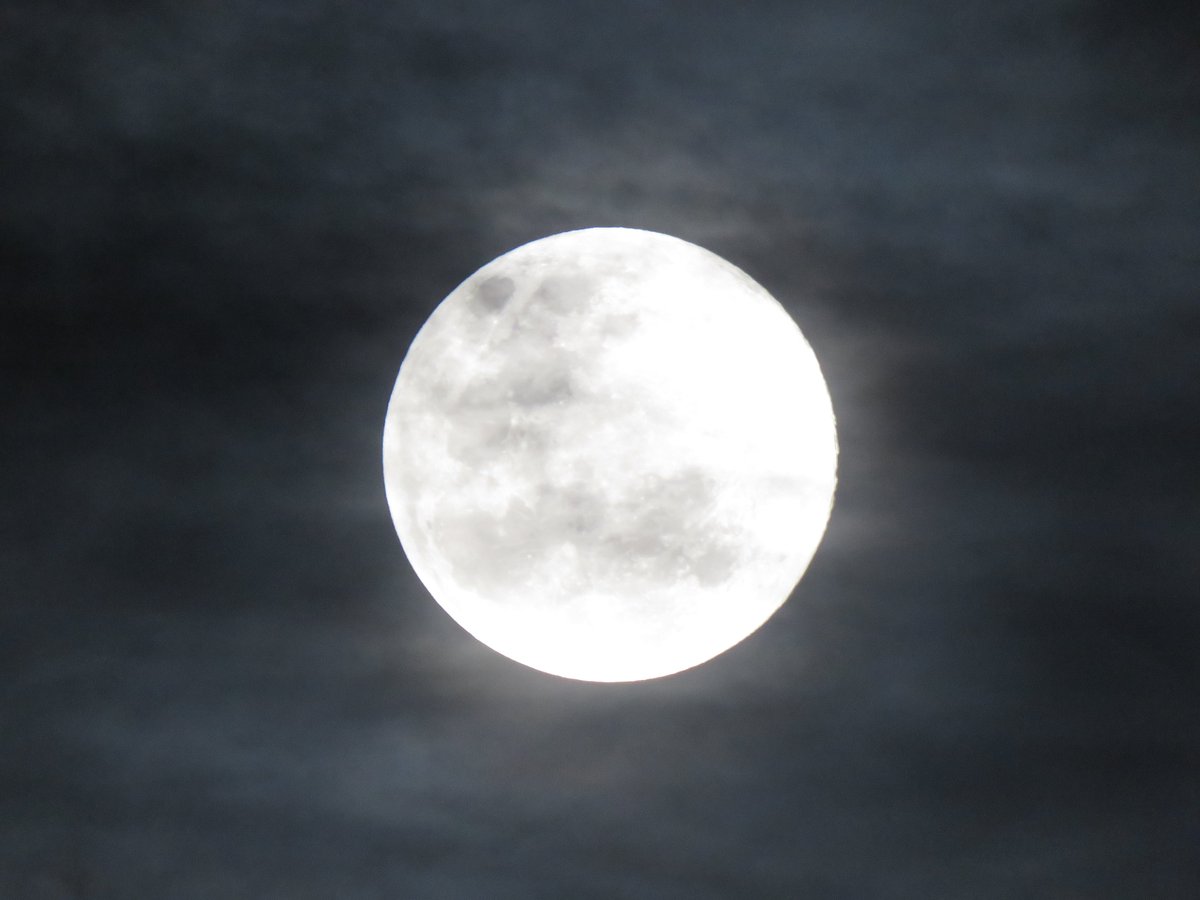 takzuo's tweet photo. Luna de Medellin https://t.co/GQYZJRgs2Y
