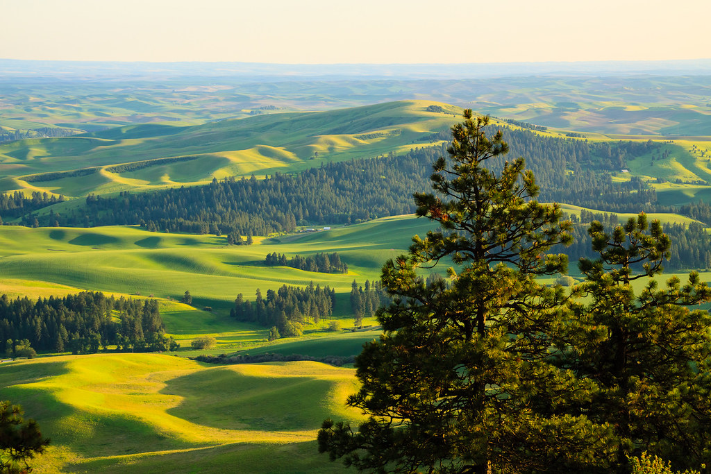 Henry Adams (@envecolab) on Twitter photo Big news: The Environmental Ecology Lab will be transitioning to <a href="/SoeWsu/">WSU_SOE</a>, Washington State University in Pullman over the next year! Next fall <a href="/ecofiz1/">Dr. Alex Thompson</a>, Matt Tomaszewksi, and I head to WSU, while <a href="/wmhammond/">Dr. William Hammond</a>, @JeffDudek2, and <a href="/KaitlynMcniel/">Kaitlyn McNiel</a> will keep the OKState lab going. Big news: The Environmental Ecology Lab will be transitioning to <a href="/SoeWsu/">WSU_SOE</a>, Washington State University in Pullman over the next year! Next fall <a href="/ecofiz1/">Dr. Alex Thompson</a>, Matt Tomaszewksi, and I head to WSU, while <a href="/wmhammond/">Dr. William Hammond</a>, @JeffDudek2, and <a href="/KaitlynMcniel/">Kaitlyn McNiel</a> will keep the OKState lab going.