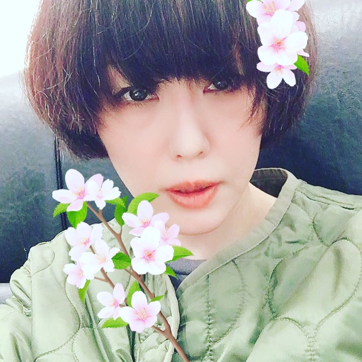 フレンチショート