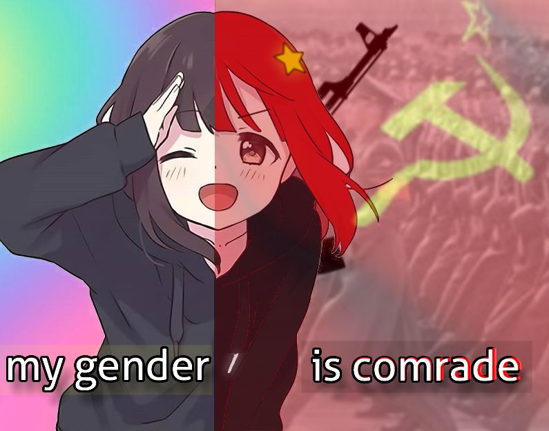 Quentcat tweet media