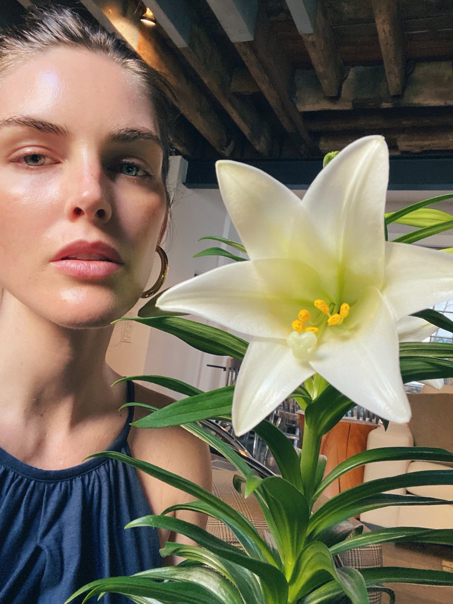 i’ve hit the stage of quarantine where i’m doing photo shoots with my house plants. But how beautiful is this easter lily? ✨