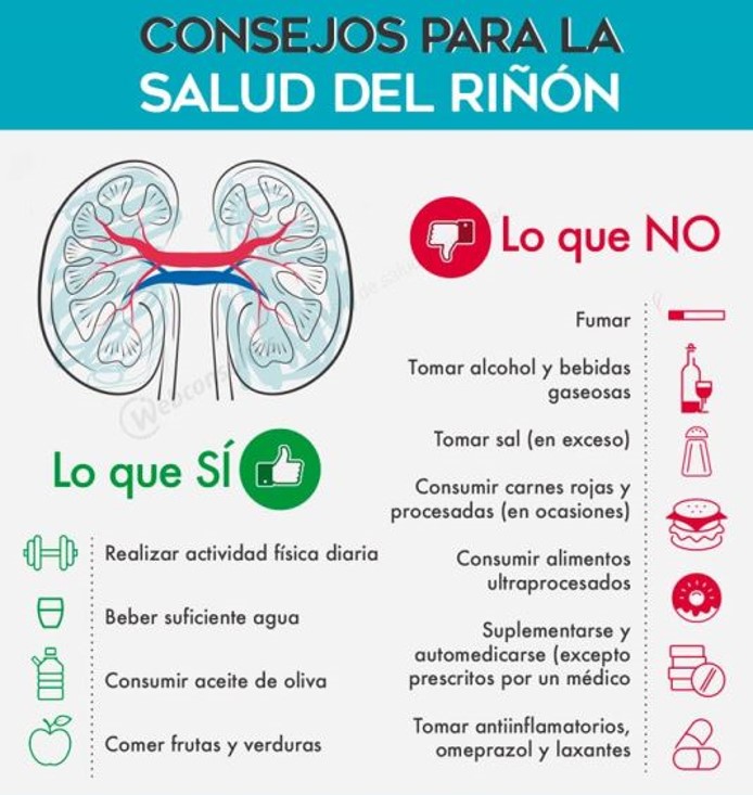 InsuficienciaR's tweet photo. ¿Qué sucede cuándo mis riñones no están sanos? ¿Qué puedo hacer?
https://t.co/OpKaaCatxK https://t.co/wjQ2UNcP51
