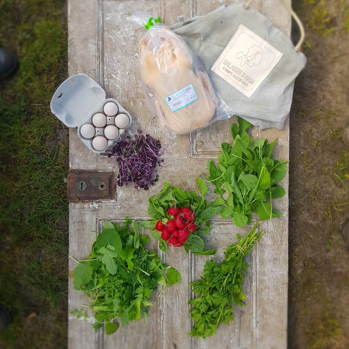 First CSA share left the farm today!