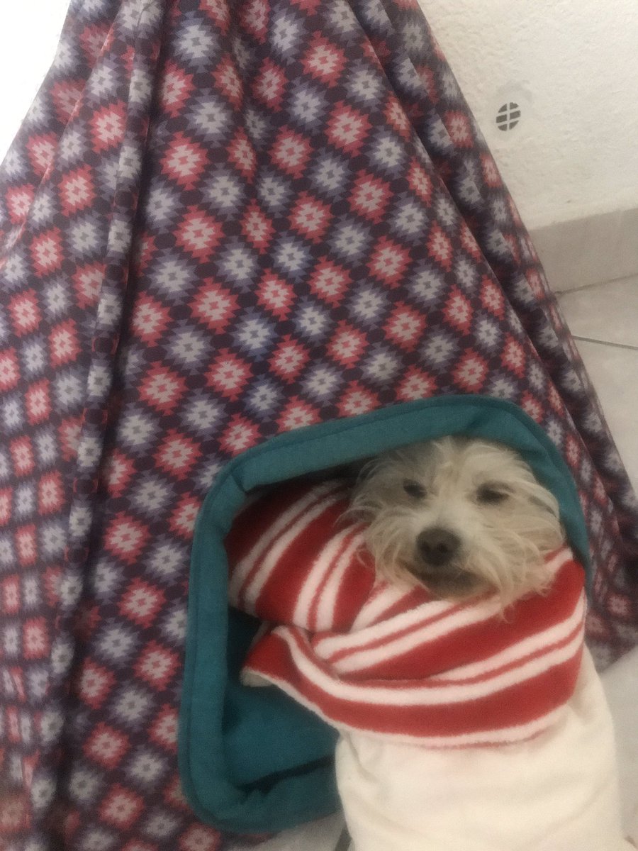 Don Valente tweet media