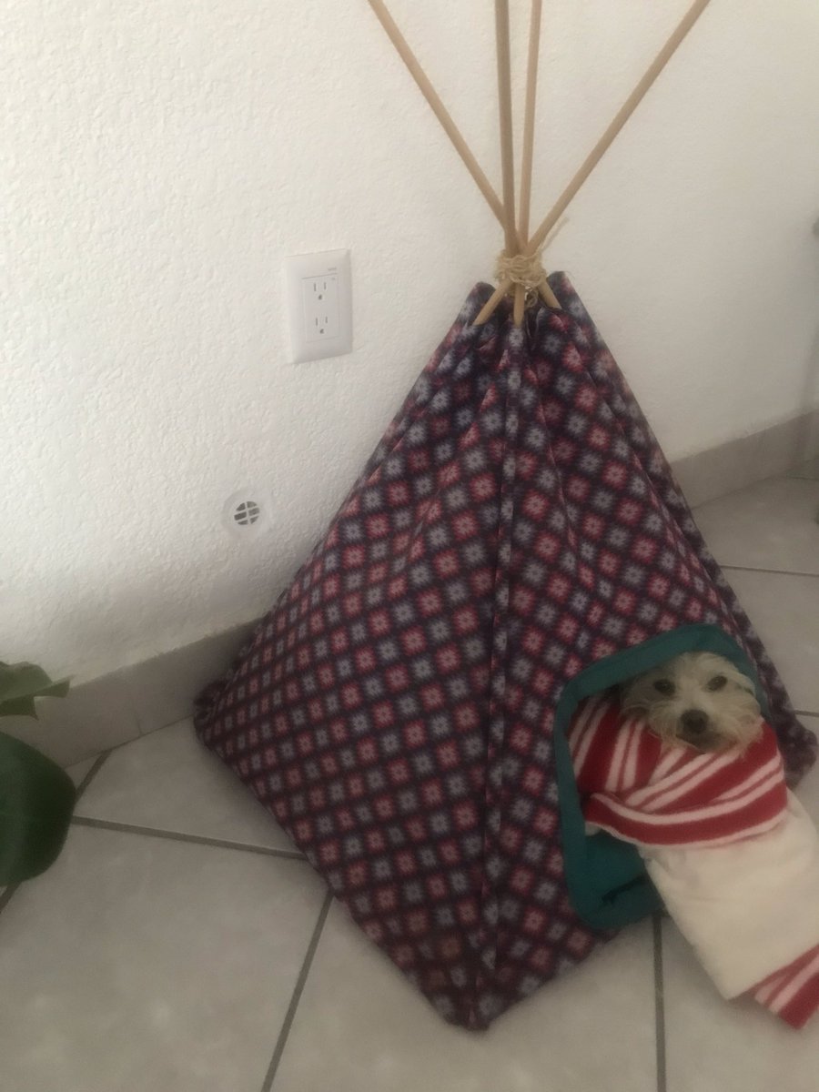 Don Valente tweet media