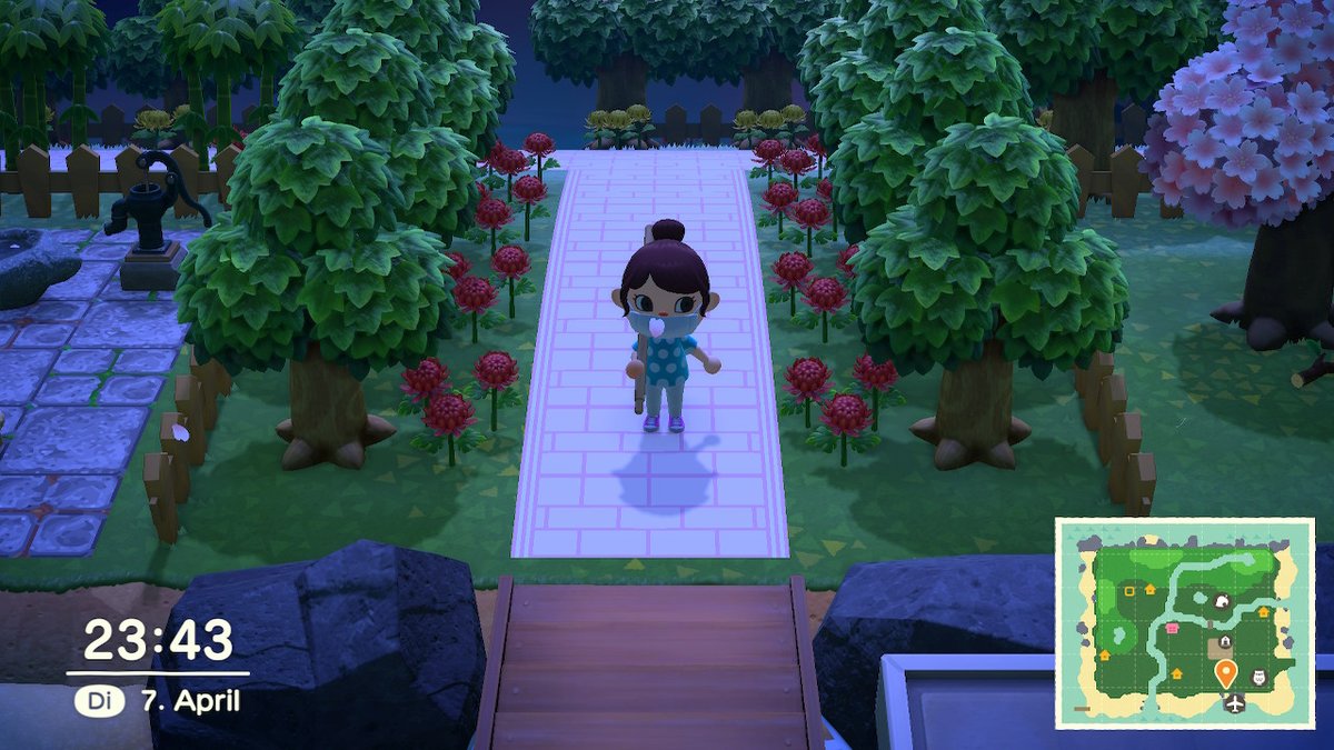 PokemonLisa1995's tweet photo. #AnimalCrossing #ACNH #NintendoSwitch https://t.co/dETxNZaYD8
