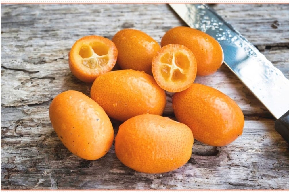 Hendery: Kumquat-Large amount of vitamin C.-The seeds and the peel provide omega-3 fats.-80% of their weight is water, making them very hydrating.
