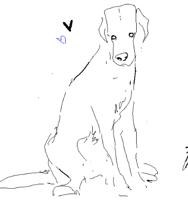 more!!!!! with @r_bitor @bnnrvn and special guest dogges 