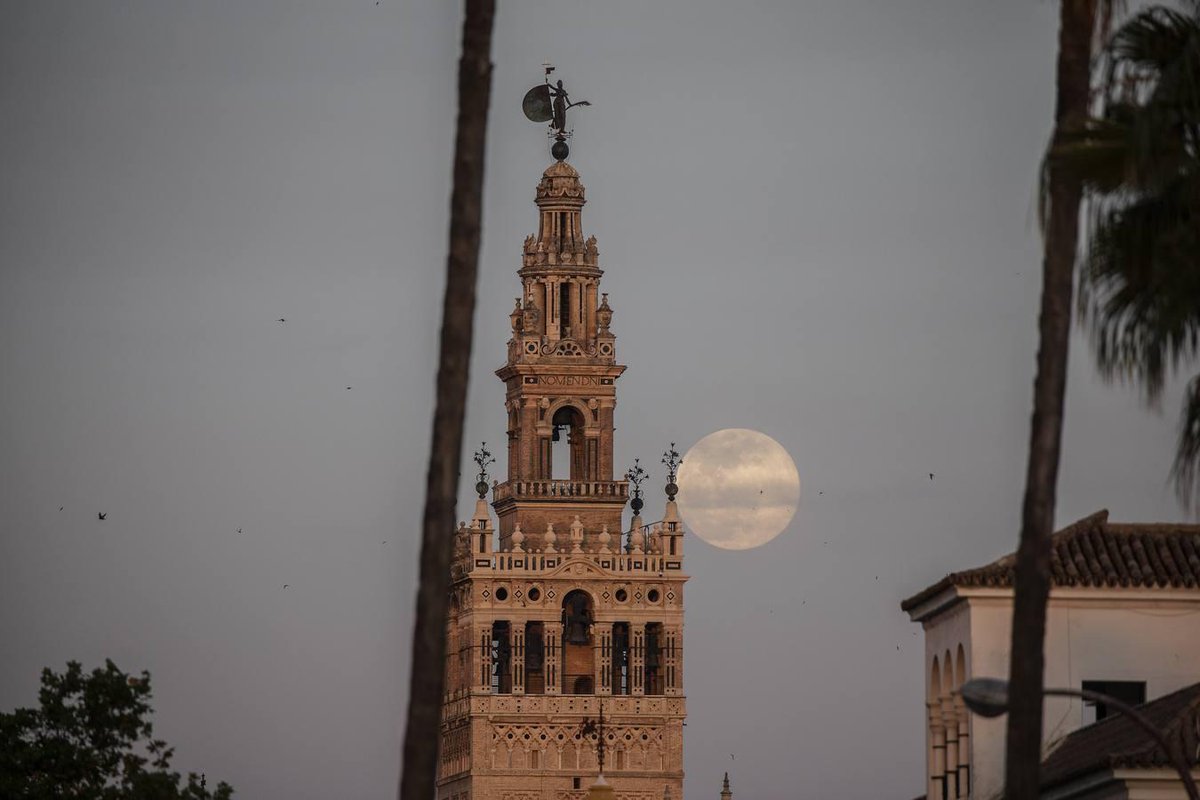 ABC de Sevilla tweet media
