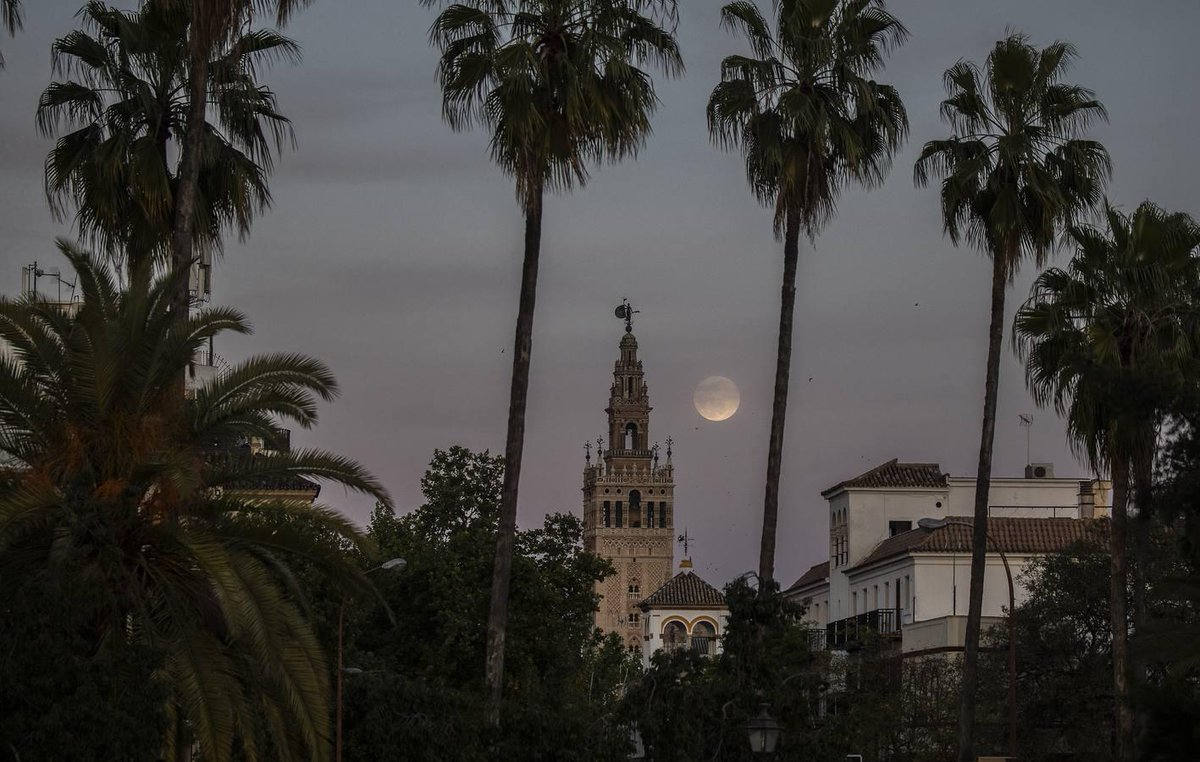 ABC de Sevilla tweet media