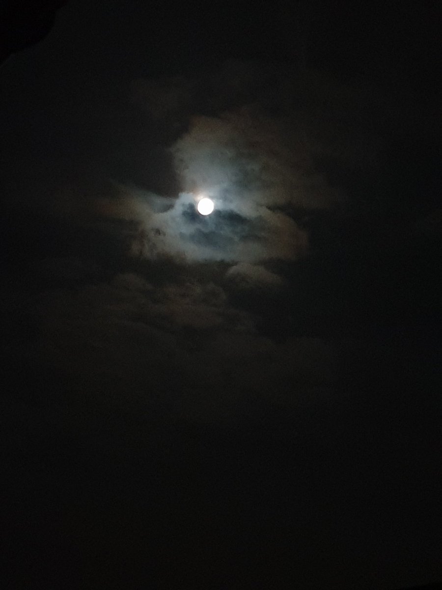 LGibb86's tweet photo. How amazing is the moon tonight, so bright 🌕 #supermoon2020 https://t.co/g6PjdIlZhS