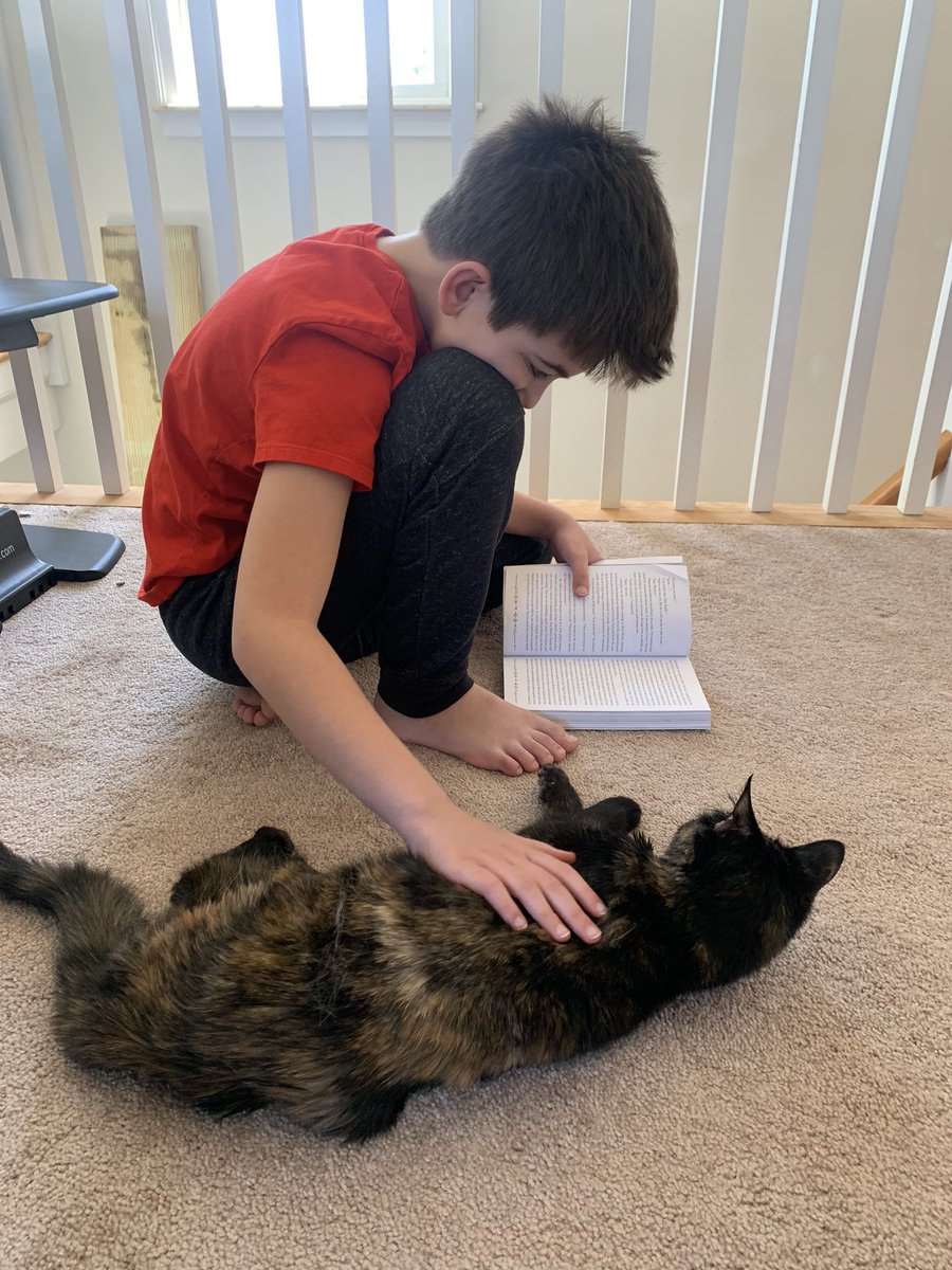 vanfio's tweet photo. @HathawaySchool #happyhathaway #RIreadsathome @GovRaimondo reading with his best friend ♥️ https://t.co/V5emcJuts8