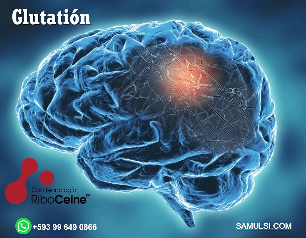 El #Glutation alivia tu cuerpo de #toxinas dañinas ayudando al instinto la natural 𝗱𝗲𝘀𝗶𝗻𝘁𝗼𝘅𝗶𝗰𝗮𝗰𝗶ó𝗻 𝗱𝗲 𝘁𝘂 𝗰𝘂𝗲𝗿𝗽𝗼 se abre el camino para que todos sus órganos trabajen a mayor capacidad. De esta manera, se reducen las posibilidades de contraer #enfermedades
