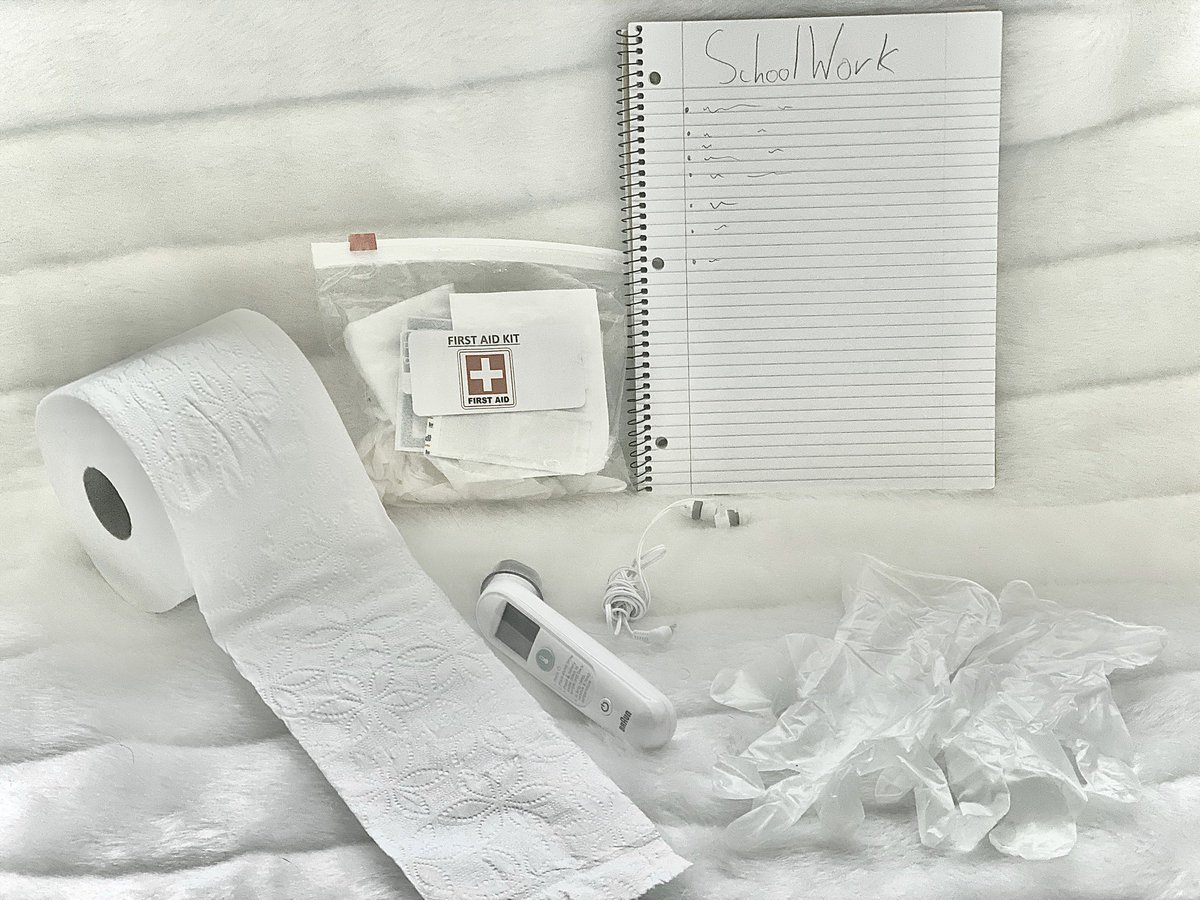 JaymeHiggins11's tweet photo. Photo challenge for today, Monochromatic Moments. 

Isabella has named her piece, “The Quarantine Care Kit.” 

#creeksidecrew #photochallenge #QuarantineLife @mrscoachmelvin https://t.co/6hkOxvJZNH