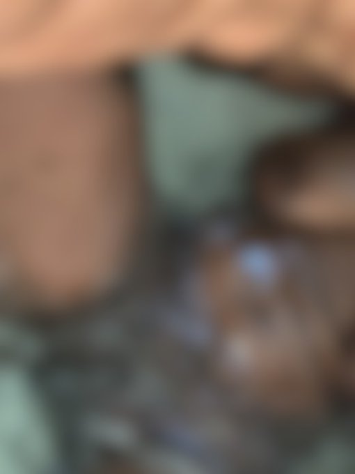 Sign up to my Modelhub Fan Club to see this brand-new exclusive photo: https://t.co/ANniwE6MjK https://t