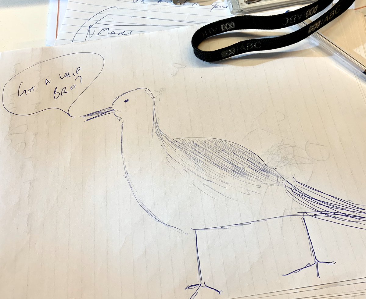 Hey @Loretta_Ryan, how’s this since my first effort didn’t cut the mustard... #drawabirdday #badlydrawnbird 🐦