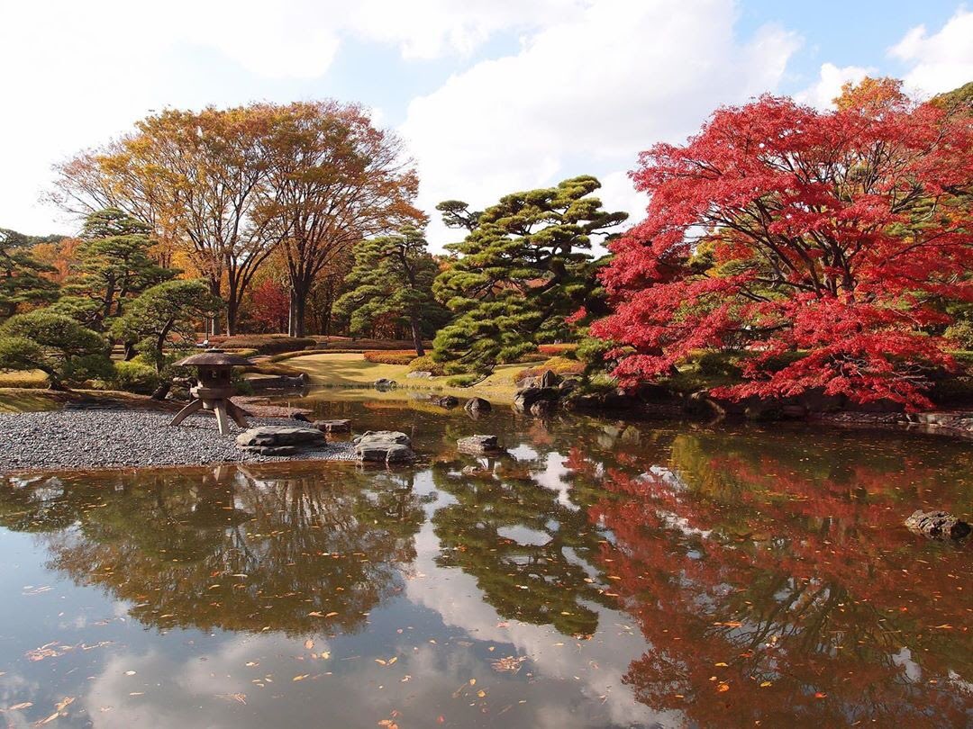 YesTravel6's tweet photo. —————————————-
#Travel #Japan #japantravel #japantrip #japanculture #japanphoto #osaka #osakatravel
#اليابان #طوكيو #سفر #سياحة_سفر #سياحة #استكشاف #مغامرات #اوساكا #YesTravel #YesJapan https://t.co/yApO6bz9nI