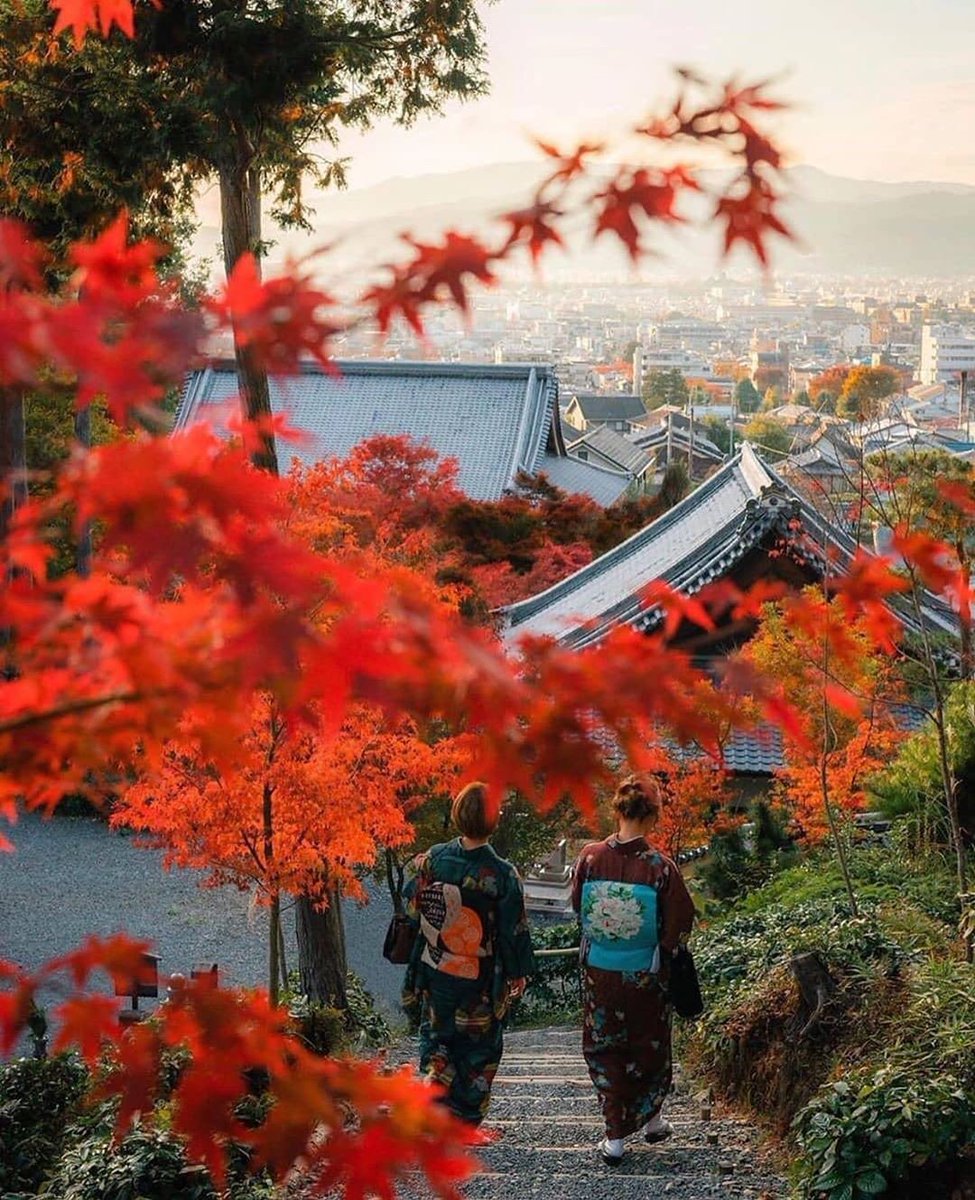 YesTravel6's tweet photo. —————————————-
#Travel #Japan #japantravel #japantrip #japanculture #japanphoto #osaka #osakatravel
#اليابان #طوكيو #سفر #سياحة_سفر #سياحة #استكشاف #مغامرات #اوساكا #YesTravel #YesJapan https://t.co/yApO6bz9nI