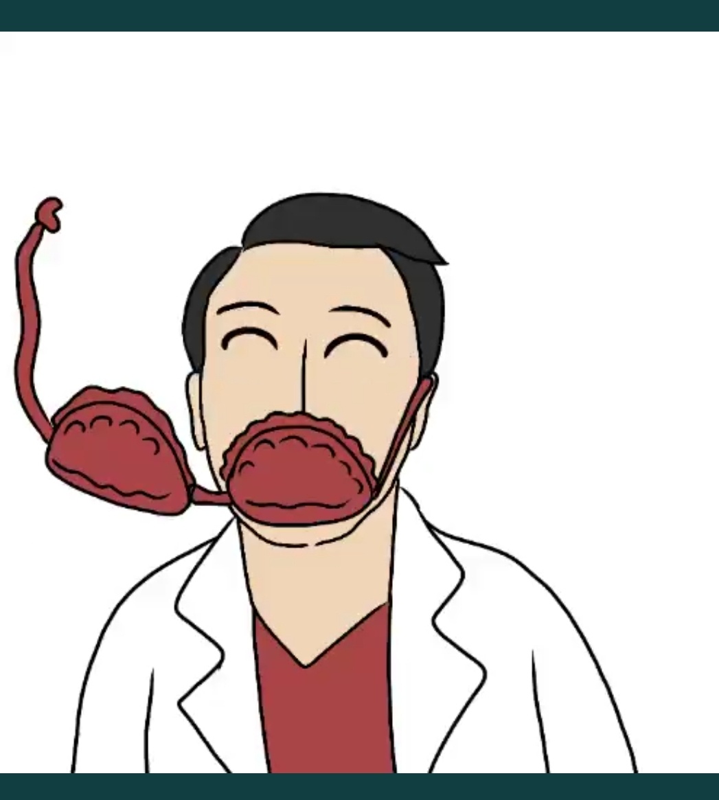 Giorgio Jojo tweet media