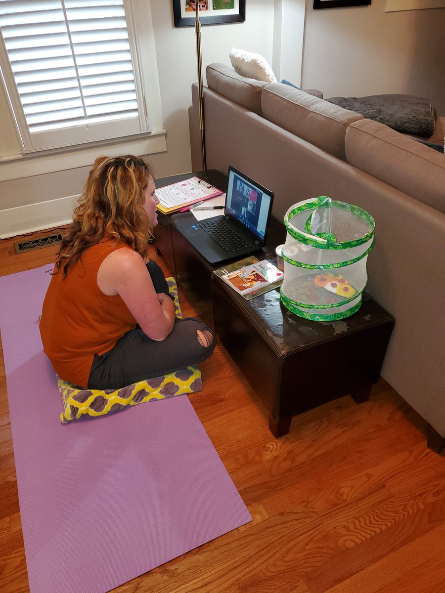 <a href="/ashleysanders80/">Ashley Sanders </a> zooming with her kiddos. Today's lesson: butterfly life cycles and story time.
