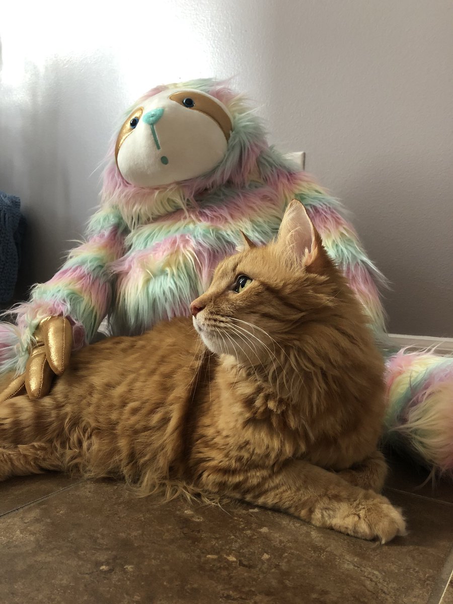 Ched and his quarantine buddy