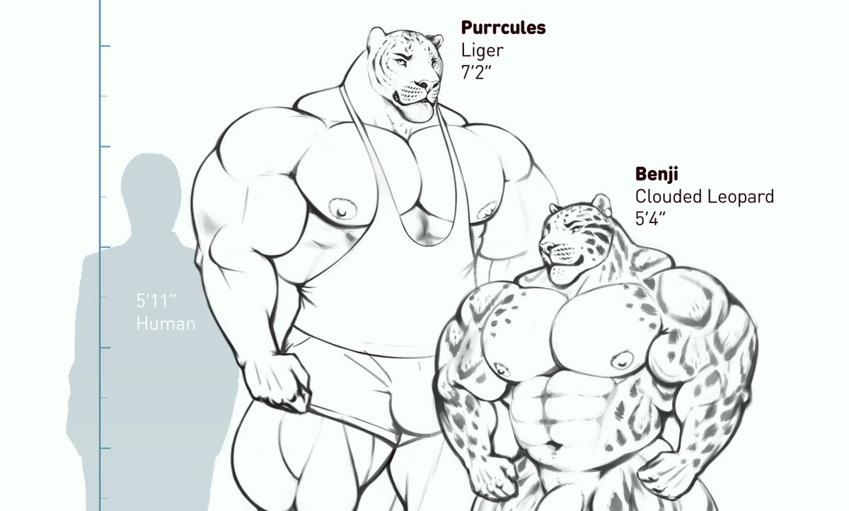 The boys. Benji looks massive... until you put him next to Purrc.