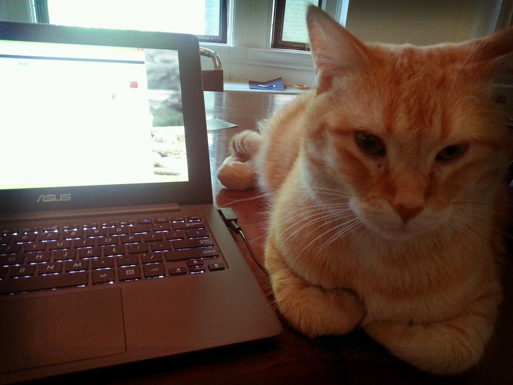 7H3Wh173R4bb17's tweet photo. Reiterating Common Cybersecurity Tips For Safe Remote Working https://t.co/CA7jWkBEkX https://t.co/P54Ded3DnO