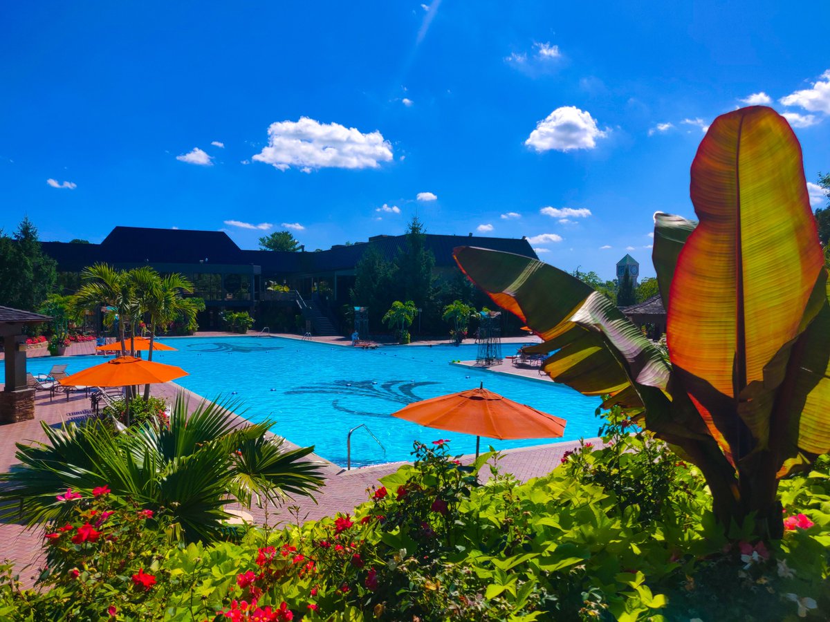 Throwback to beautiful weather and bright sunny days by the pool ☀️

#cresthollow #cresthollowcountryclub #followcresthollow #wedding #weddings #weddingday #weddingtime #weddingreception