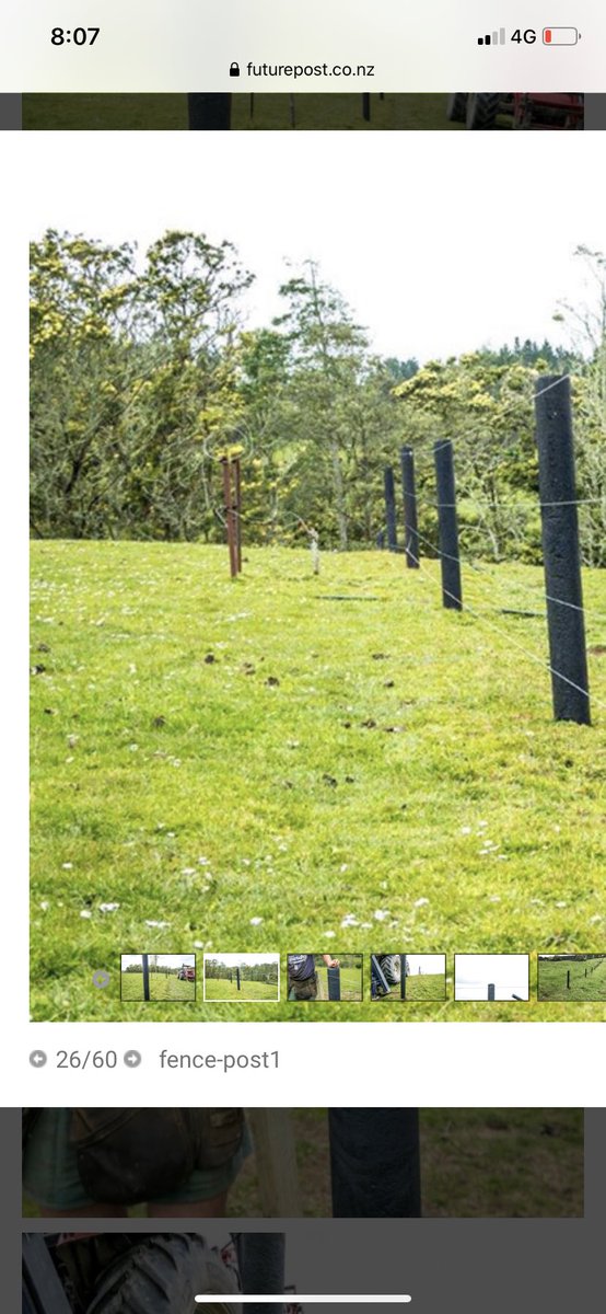 Ben Daniel (@gettingrowdy) on Twitter photo 