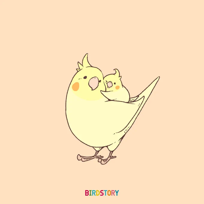 おはようございます。
本日は4月8日。
愛鳥との生活、しっかりと日常を守っていきたいと思います。
#BIRDSTORY 