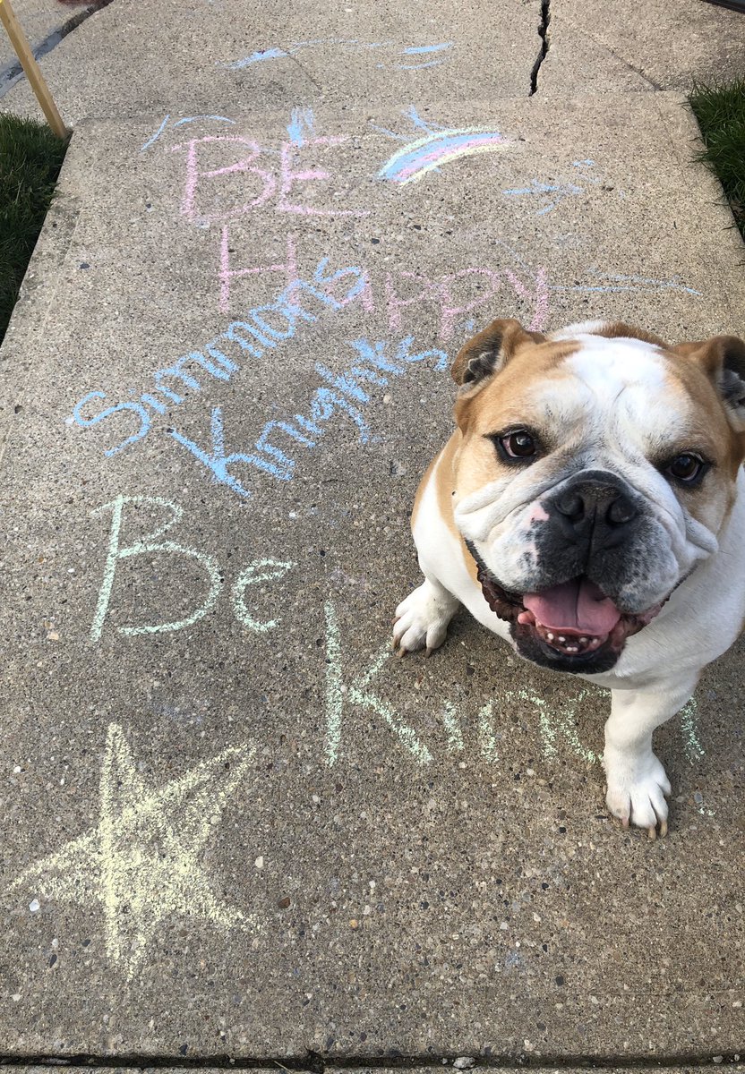 MightyThor617's tweet photo. Yesterday was being your pet to school for virtual spirit week &amp; I refused to be cooperative. Today is Chalk the Walk &amp; mom didn’t even want a pic of this beef cake and I even posed for her! #IDoWhatIWant #MightyThor #BulldogThor #DamnImHandsome https://t.co/S3Q3JTqqLp