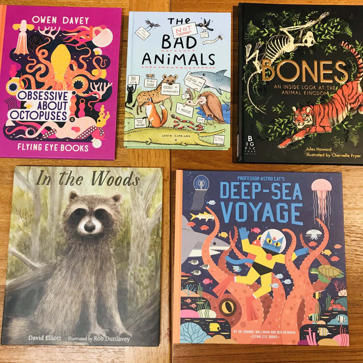 OBSESSIVE ABOUT OCTOPUSES by  @owendaveydraws!IN THE WOODS by David Elliott, illus Rob Dunlavey!THE NOT BAD ANIMALS by  @SophieMCorrigan!PROF. ASTRO CAT'S DEEP-SEA VOYAGE by Dr. Dominic Walliman &  @bennewmanillo!BONES by  @juleslhoward, illus Chervelle Fryer!