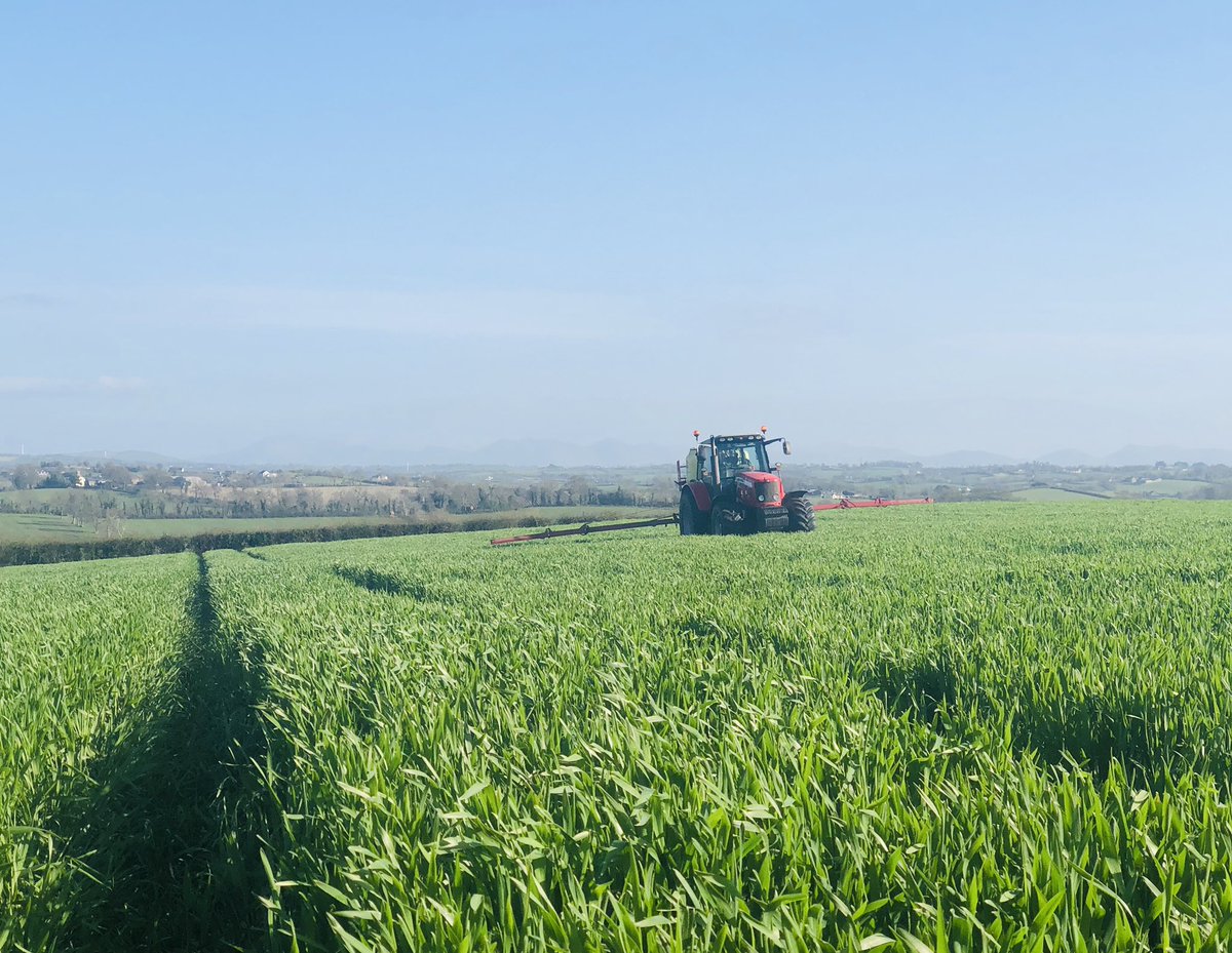 Nice evening to get some of the winter crop sprayed ☀️🌾🌾