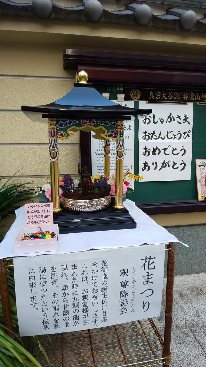 林鶯山 憶西院 超覺寺 超覚寺 広島県広島市中区八丁堀 年4月8日掲示 Happy Birthday Dear Buddha 仏教 浄土真宗 真宗大谷派 広島県広島市 超覚寺 伝道掲示板 お寺の掲示板 釈尊降誕会 はなまつり 花まつり 4月8日 メリシャカ