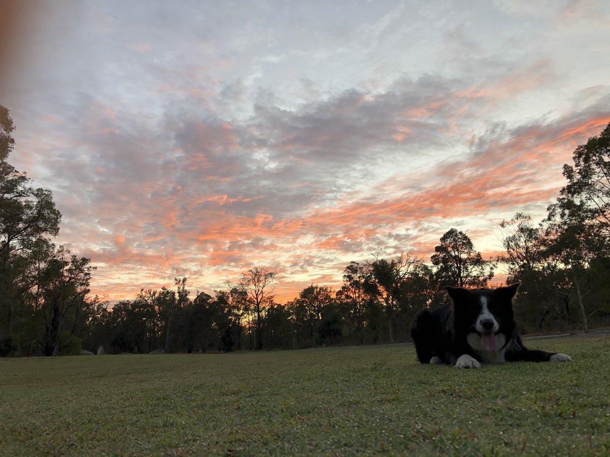 neb_ando's tweet photo. Morning walk with @MandyApple5 &amp; the pooch around Donnybrook Country club #donnybrookwa #sunrise https://t.co/FwSxSQypmn