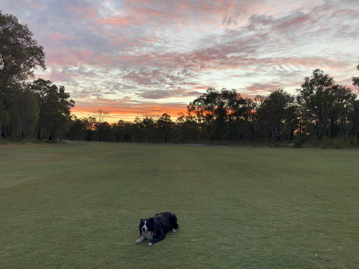 neb_ando's tweet photo. Morning walk with @MandyApple5 &amp; the pooch around Donnybrook Country club #donnybrookwa #sunrise https://t.co/FwSxSQypmn