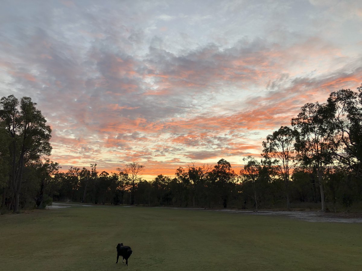 neb_ando's tweet photo. Morning walk with @MandyApple5 &amp; the pooch around Donnybrook Country club #donnybrookwa #sunrise https://t.co/FwSxSQypmn