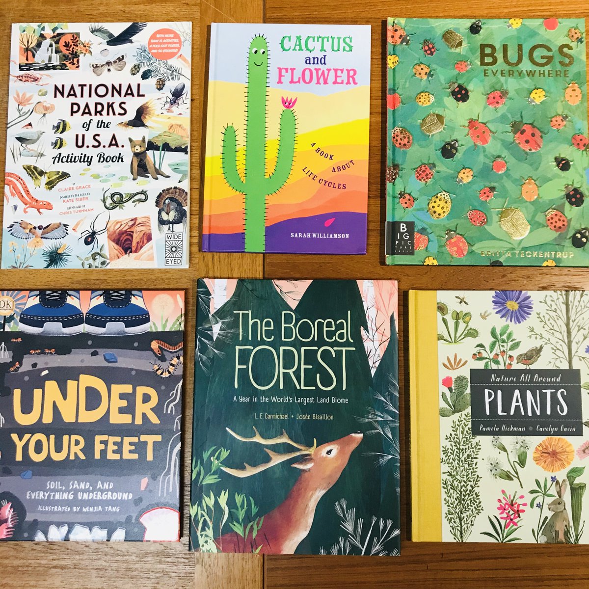 NATIONAL PARKS OF THE USA ACTIVITY BOOK by Claire Grace, illus Chris Turnham!UNDER YOUR FEET illus by Wenjia Tang!CACTUS & FLOWER by Sarah Williamson!THE BOREAL FOREST by L. E. Carmichael, illus Josée Bisailon!BUGS EVERYWHERE by  @BTeckentrup!
