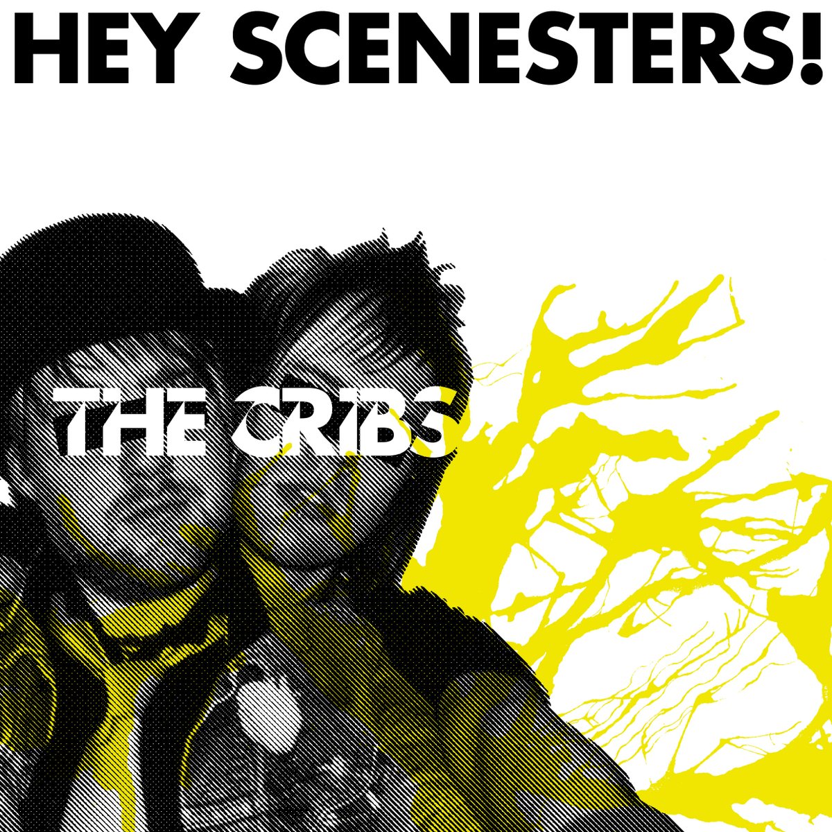Nick Scott On Twitter Thanks To Any Cribs Fans On Here For