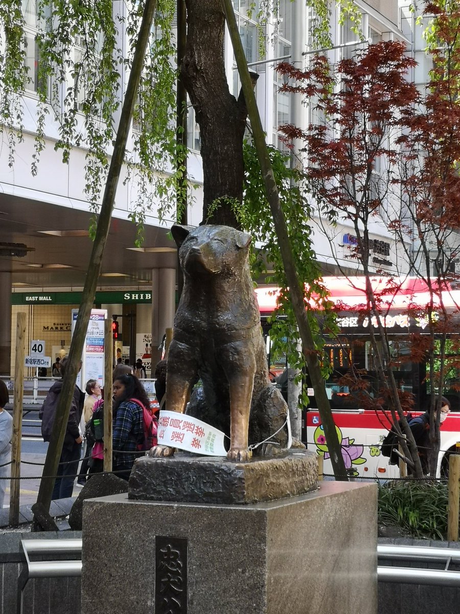 It's hachiko! We also got tea (why is yuzu tea so expensive here please I need it) and watched people pass by on the crossing, it was great https://twitter.com/aquagalaxis/status/1247646623087374339?s=19