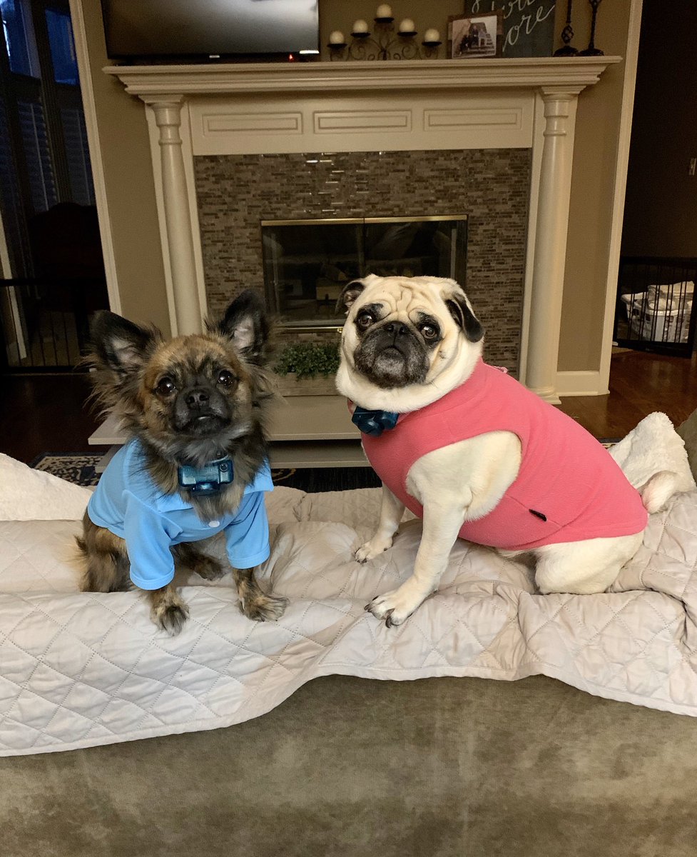 AndySimeroth1's tweet image. Thank you for taking the time reading this and if you want to give back you can venmo andy-simeroth or scan the QR code